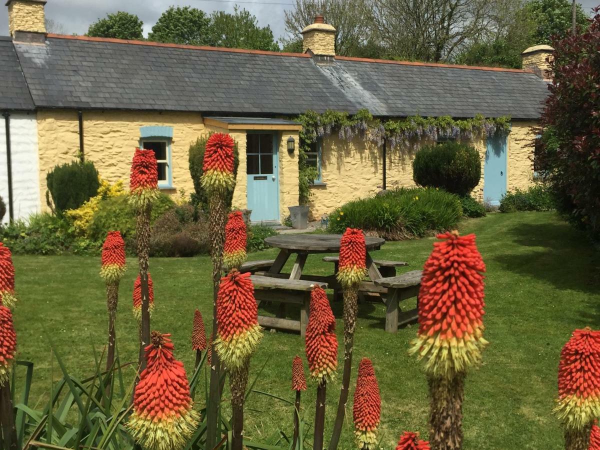 Charming Welsh Cottage Johnston Екстериор снимка